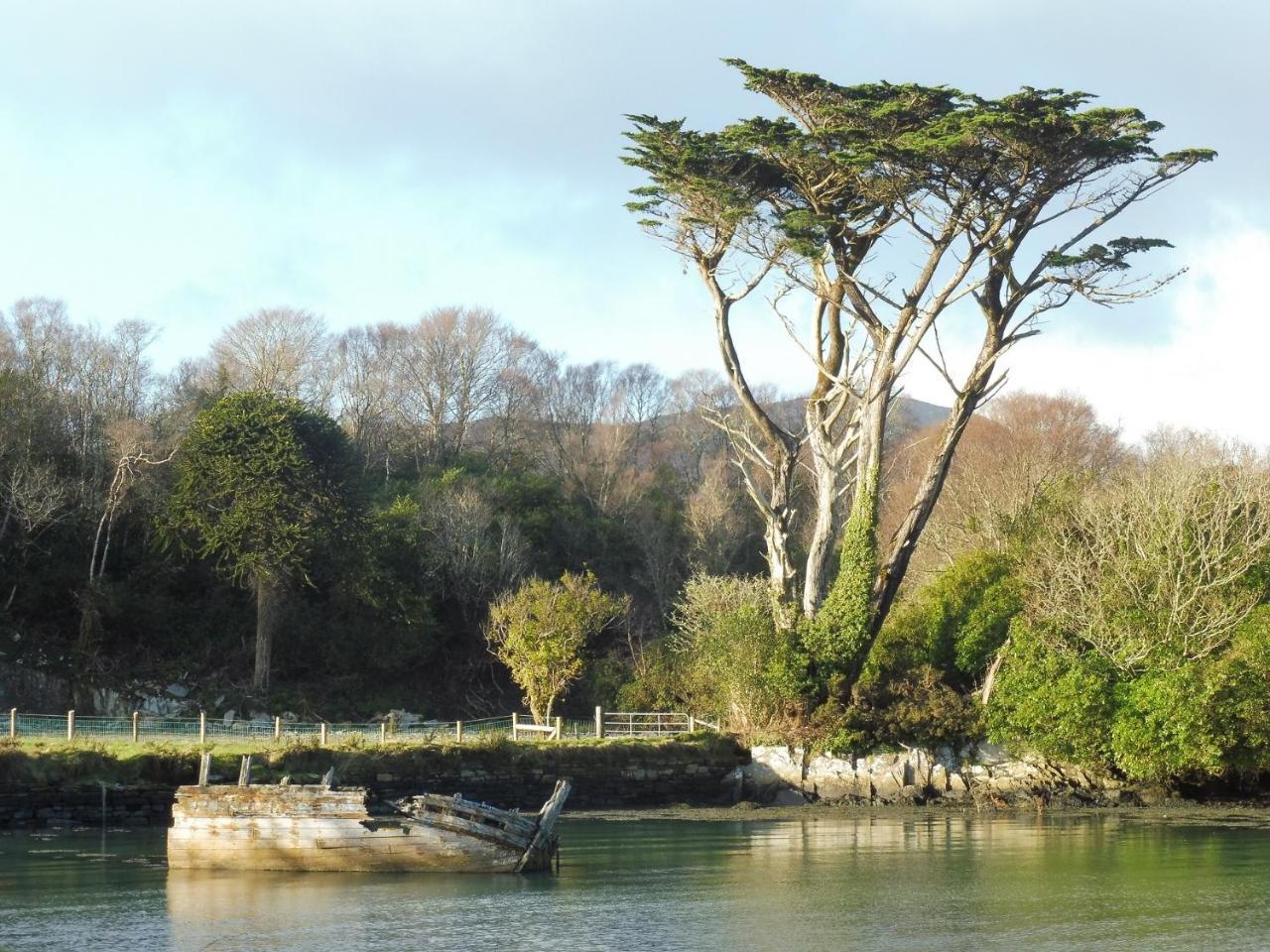 Bed and Breakfast Island View House à Castletownbere Extérieur photo